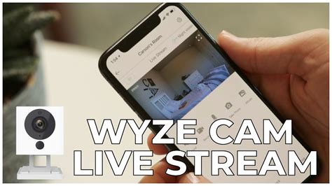 wyze cam live stream